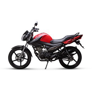 Bike 21